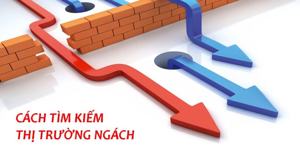 cach tim kiem thi truong ngach