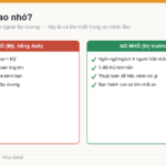 Biển đỏ thị trường Mỹ so với ao nhỏ thị trường ngách