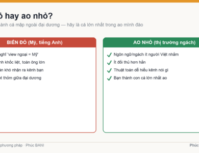 Biển đỏ thị trường Mỹ so với ao nhỏ thị trường ngách