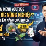 Có nên làm kênh YouTube về tin tức nông nghiệp? Phân tích tiềm năng của ngách giá cả hàng hóa