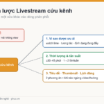 Bản đồ chiến lược livestream cứu kênh YouTube mất hiển thị