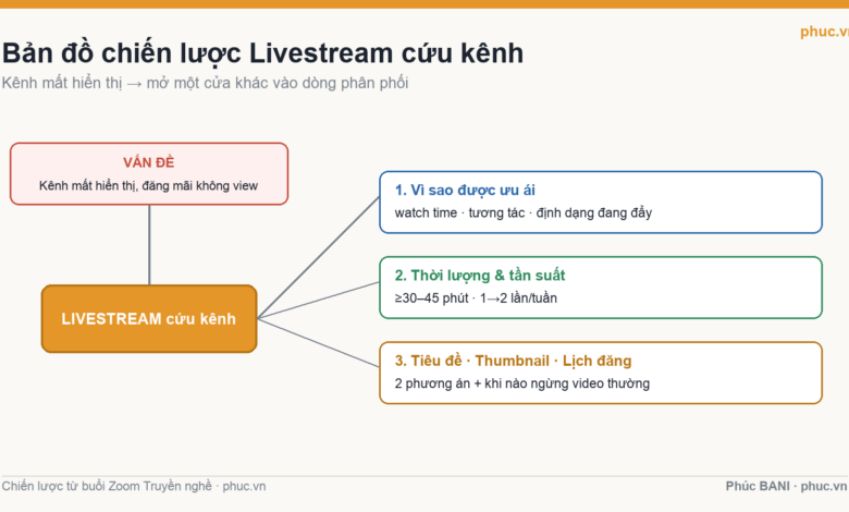 Bản đồ chiến lược livestream cứu kênh YouTube mất hiển thị