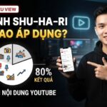 Mô hình Shu–Ha–Ri là gì? Cách áp dụng tư duy 80/20 để phát triển nội dung YouTube