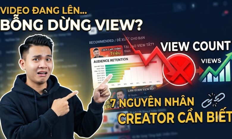 Vì Sao Video Đang Lên Lại Đột Ngột Dừng View? 7 Nguyên Nhân Creator Cần Biết