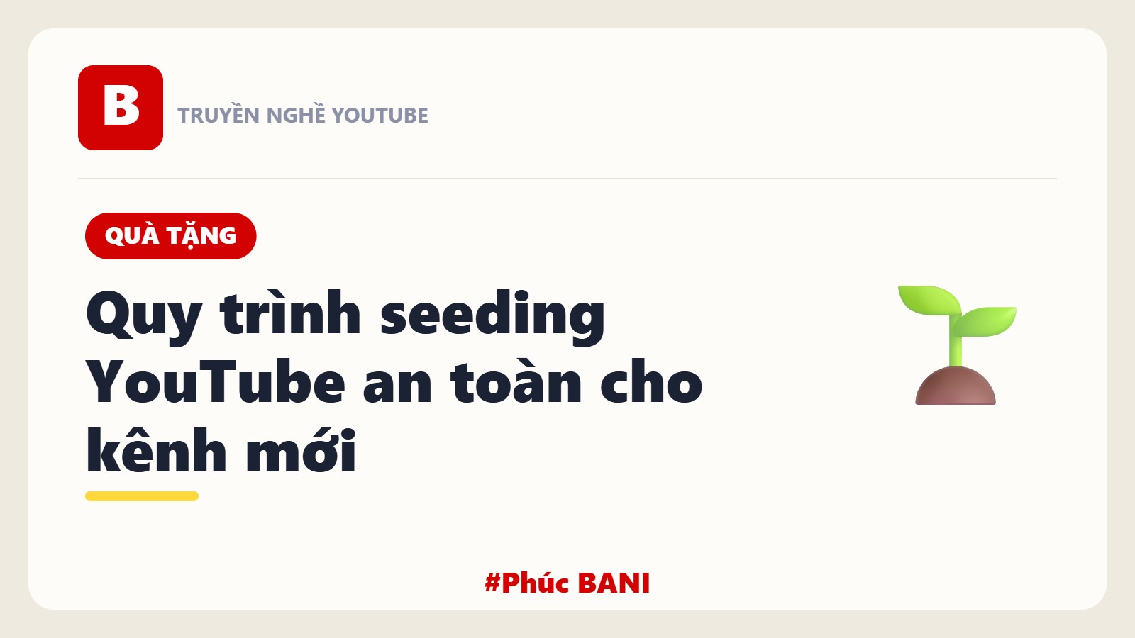 Quà Tặng: Quy Trình Seeding YouTube An Toàn Cho Kênh Mới