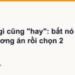 AI nói gì cũng "hay": bắt nó đưa 10 phương án rồi chọn 2